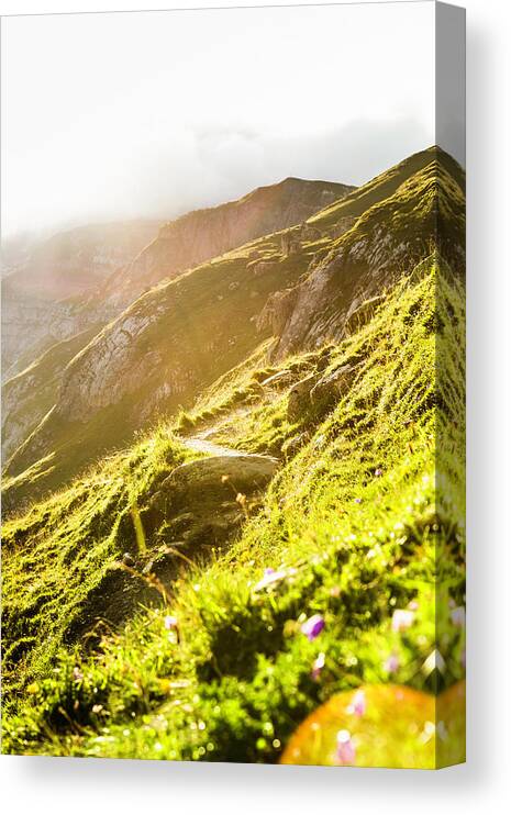 Tranquility Canvas Print featuring the photograph Sun Rising Over Grassy Rural Hillside #3 by Manuel Sulzer
