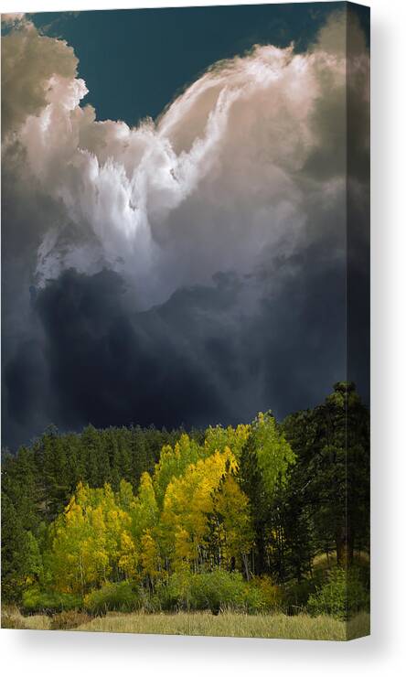 Trees Canvas Print featuring the photograph 3372 by Peter Holme III