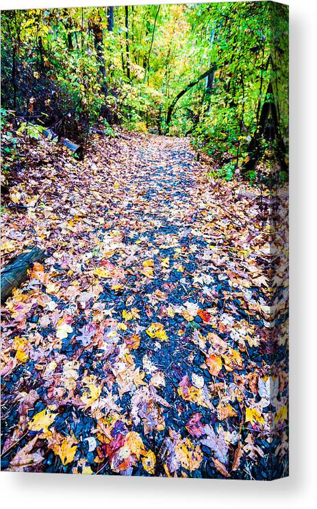 Autumn Canvas Print featuring the photograph Autumn Country Road #4 by Alex Grichenko