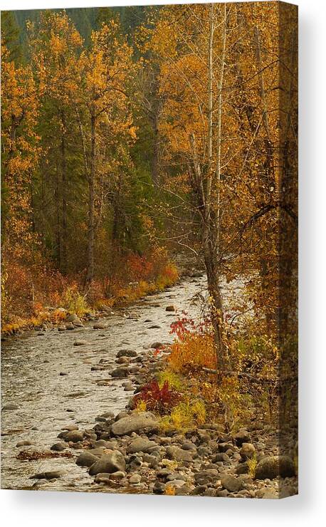 Northeastern Washington Canvas Print featuring the photograph Fall at Sheep Creek #4 by Loni Collins