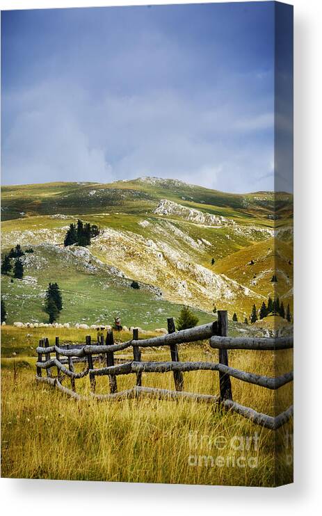 Fence Canvas Print featuring the photograph Landscape by Jelena Jovanovic
