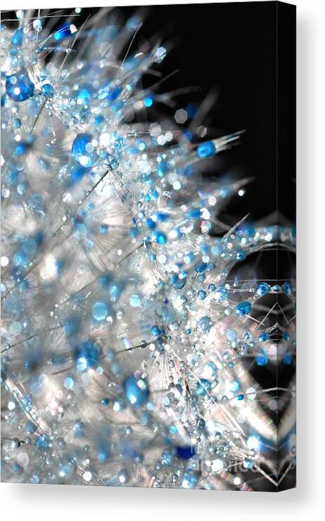 Flower Canvas Print featuring the photograph Crystal Flower #4 by Sylvie Leandre