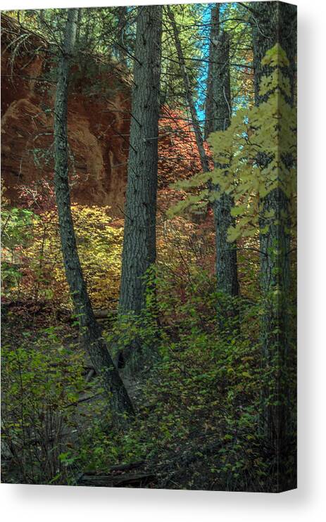 Fall Canvas Print featuring the photograph West Fork Fall Color #5 by Tam Ryan