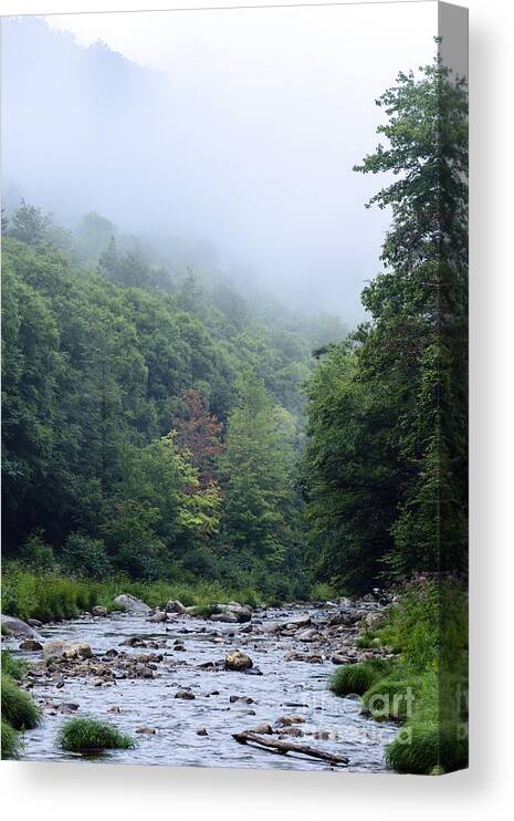 Williams River Canvas Print featuring the photograph Williams River Summer Mist #6 by Thomas R Fletcher