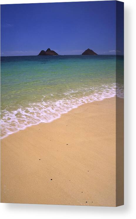 Lanikai Beach Canvas Print featuring the photograph A Blend of Colors by Morris McClung