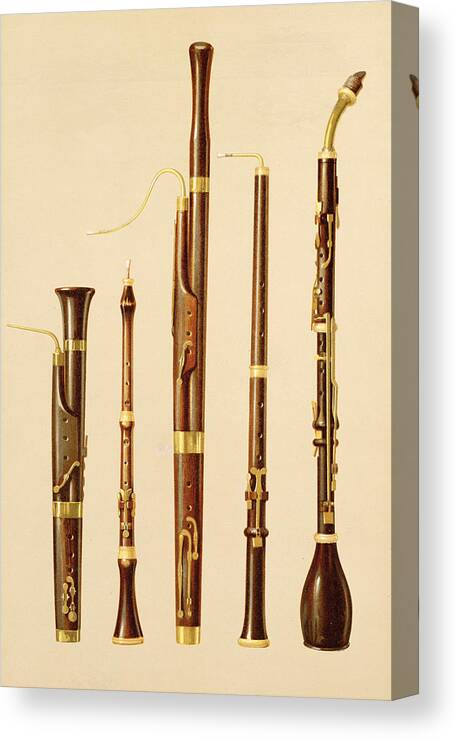 Pilar Error Invertir A Dulcian, An Oboe, A Bassoon Canvas Print / Canvas Art by Alfred James  Hipkins - Fine Art America