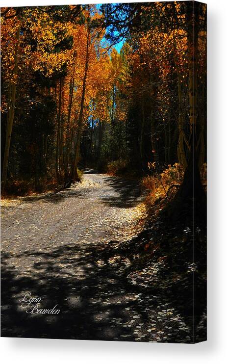 Roads Canvas Print featuring the photograph A Leisure Drive by Lynn Bawden