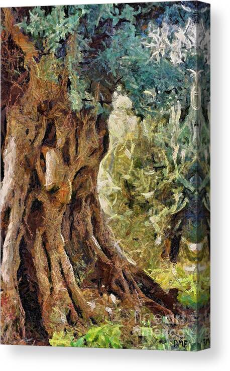 Olive Tree Canvas Print featuring the painting A really old olive tree by Dragica Micki Fortuna