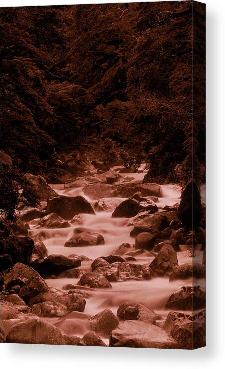 Brook Canvas Print featuring the photograph A River Running Alongside One by David McLain