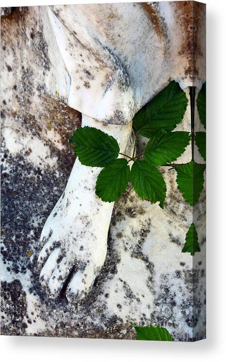 Foot Canvas Print featuring the photograph A Thorny Path by James Brunker