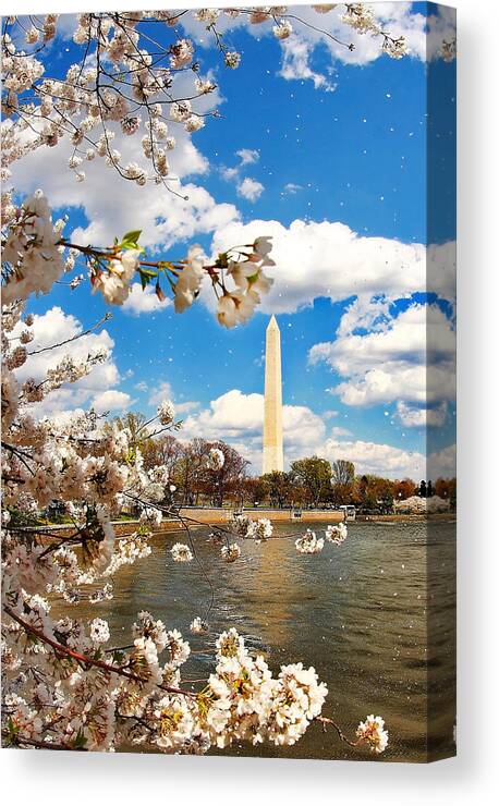 Cherry Blossoms Canvas Print featuring the photograph A Warm Breeze of Spring by SCB Captures