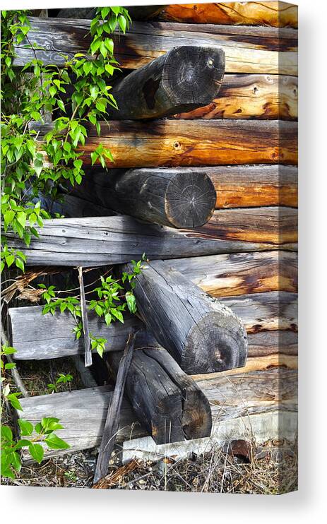 Log Canvas Print featuring the photograph Abandoned by Cathy Mahnke
