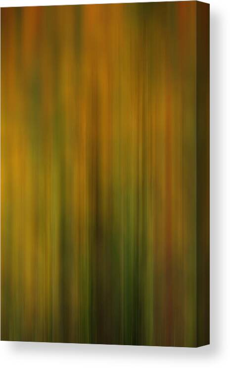 Yellow Canvas Print featuring the photograph Abstract in Yellow and Green by TL Mair