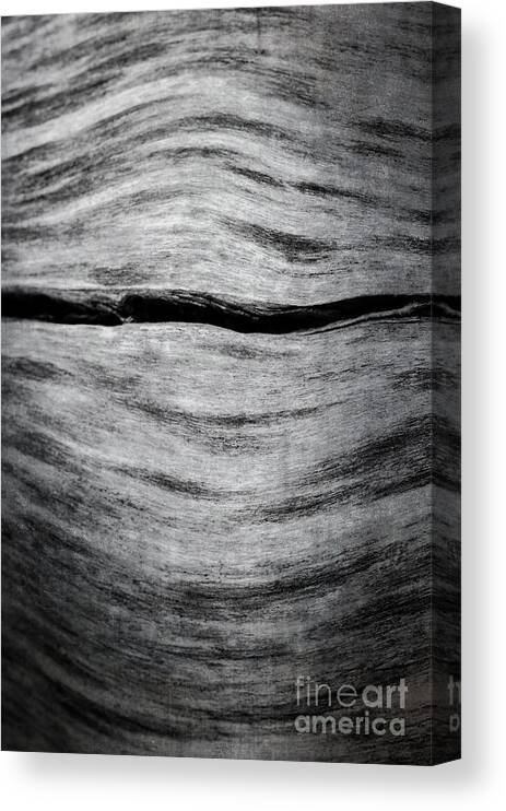 Abstract Canvas Print featuring the photograph Abstract Log by Tamara Becker