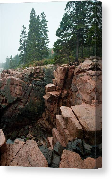 Landscape Canvas Print featuring the photograph Acadia Fog near Monument Cove 4336 by Brent L Ander