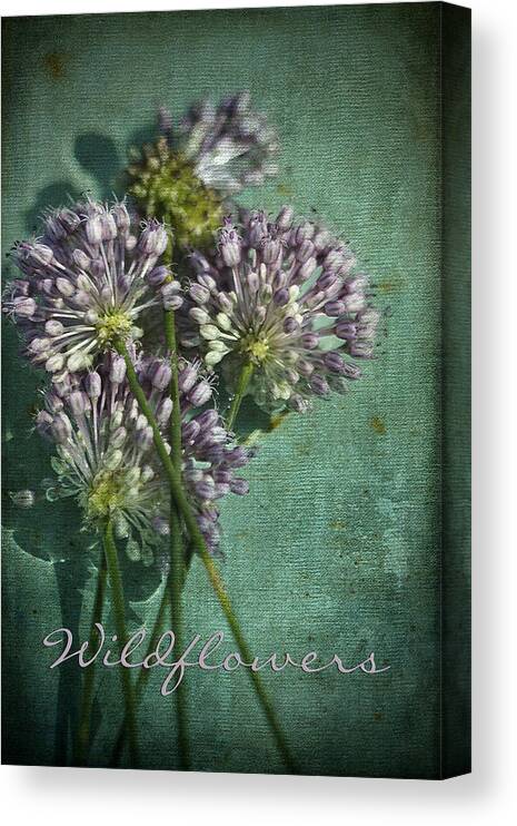 Allium Cernuum Canvas Print featuring the photograph Alabama Allium Wildflowers by Kathy Clark