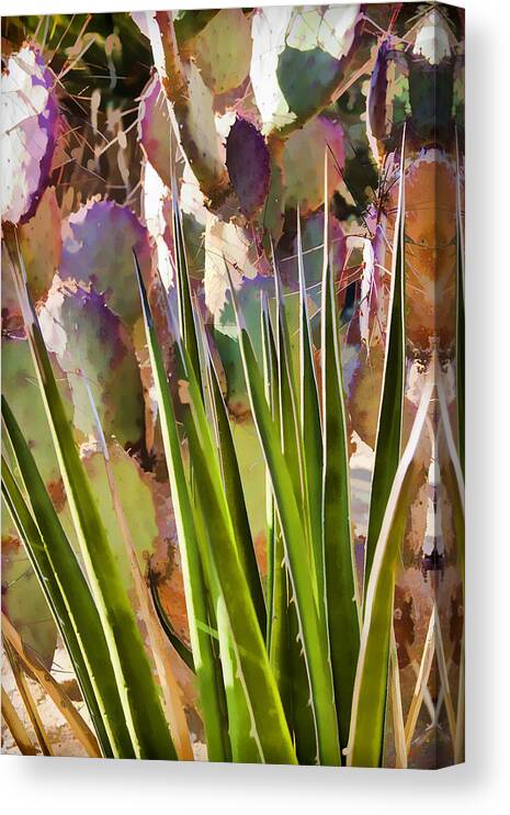 Agave Canvas Print featuring the photograph All pointy and sharp by Scott Campbell