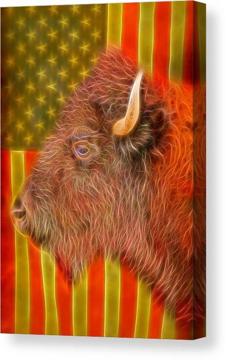Bison Canvas Print featuring the photograph American Bison Headshot Flag Glow by James BO Insogna