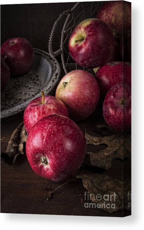 Apples Canvas Print featuring the photograph Apple Still Life by Edward Fielding