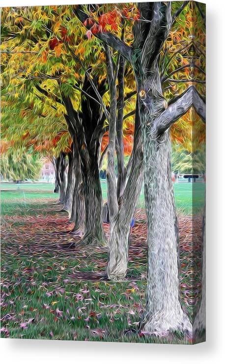Trees Canvas Print featuring the photograph Artistic Autumn by Jackson Pearson