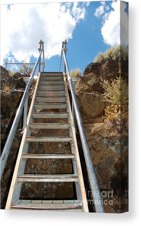 Ladder Canvas Print featuring the photograph Ascending by Debra Thompson