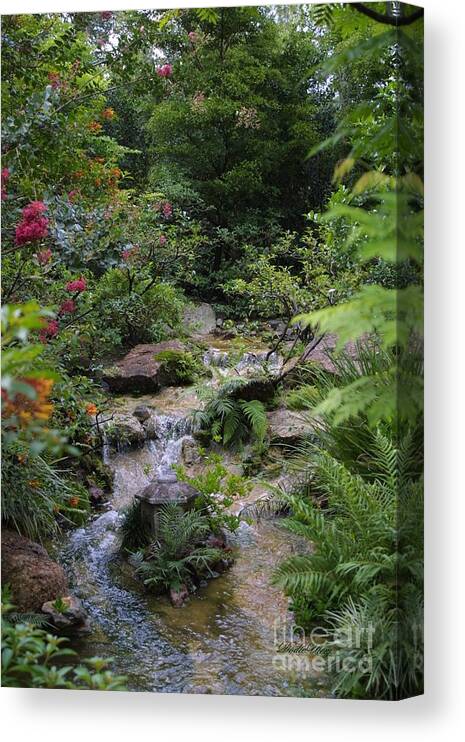 Zen Canvas Print featuring the photograph Asian Garden by Dodie Ulery