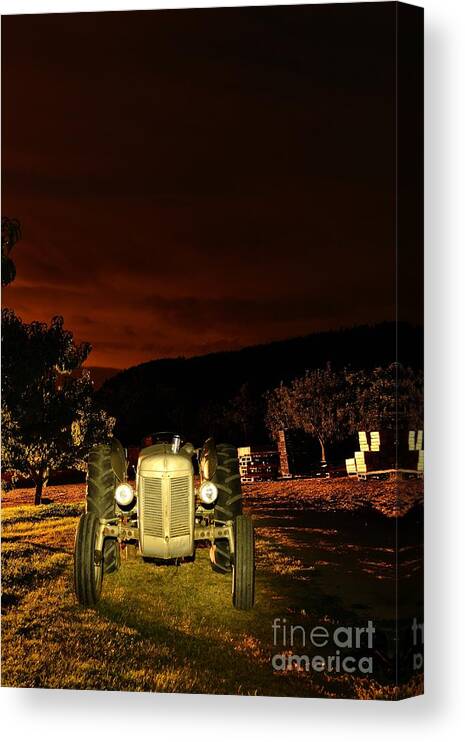 Phil Dionne Photography Canvas Print featuring the photograph Asleep In The Orchard by Phil Dionne