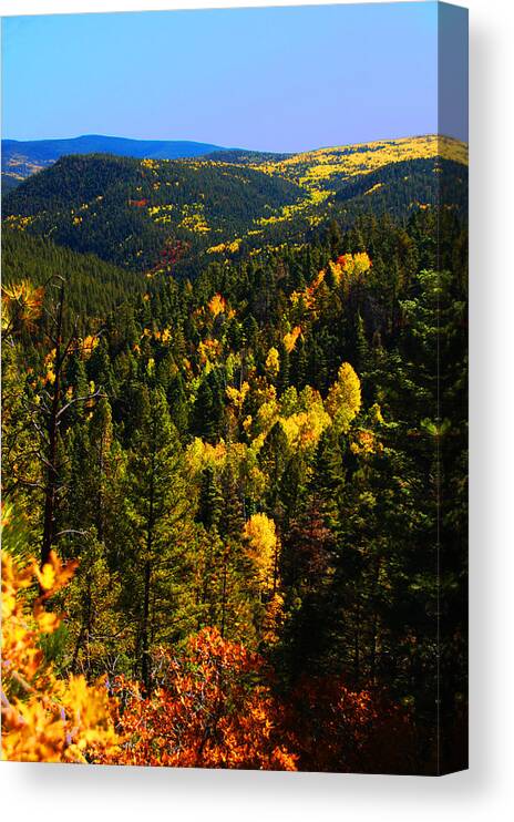 Mountain Canvas Print featuring the photograph Aspen Mountains by Shirin McArthur