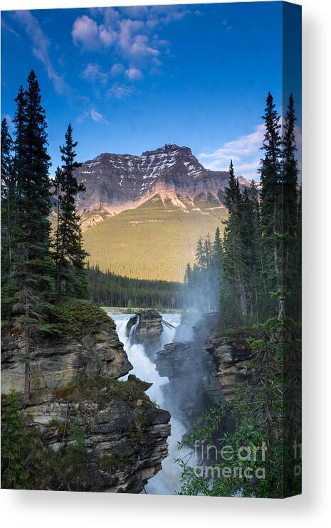 Mountain Canvas Print featuring the photograph Athabasca Falls by Lori Dobbs