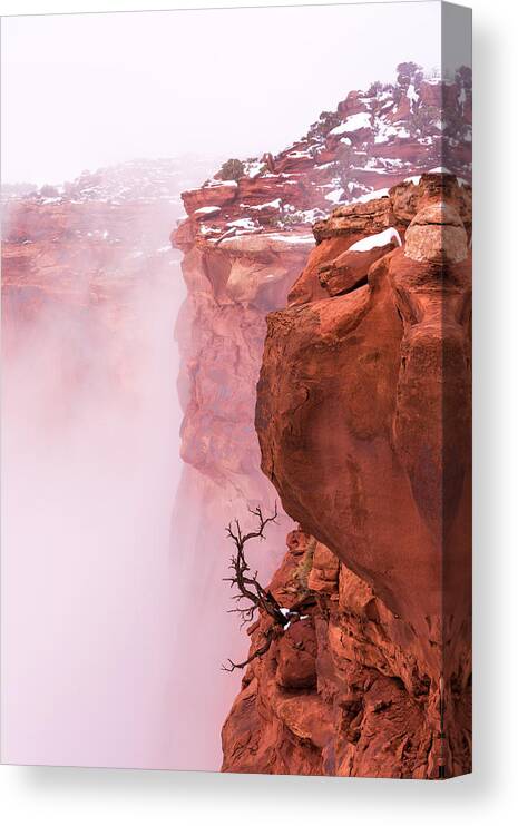 Canyonlands Canvas Print featuring the photograph Atop Canyonlands by Chad Dutson