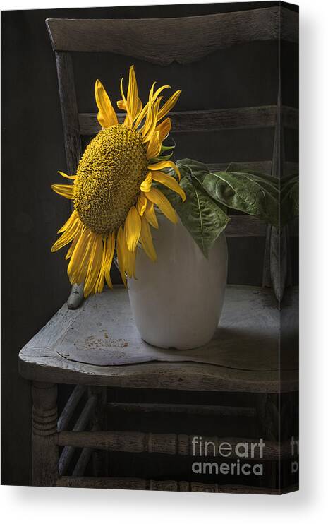 August Canvas Print featuring the photograph August by Elena Nosyreva