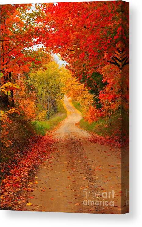 Red Canvas Print featuring the photograph Autumn Cameo by Terri Gostola