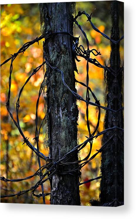 Abstract Canvas Print featuring the photograph Autumn Colors 1 by Newel Hunter