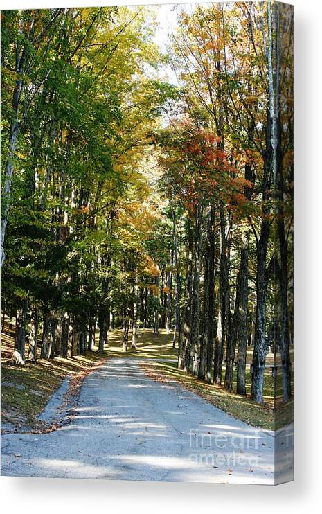 Barbara Bardzik Canvas Print featuring the photograph Autumn Drive by Barbara Bardzik