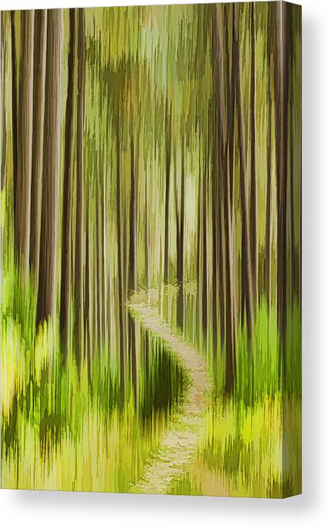 Forest Canvas Print featuring the photograph Autumn Forest Abstract Version 3 by Thomas Young