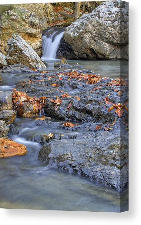 Arkansas Canvas Print featuring the photograph Autumn Leaves at Little Missouri Falls - Arkansas - Waterfall by Jason Politte