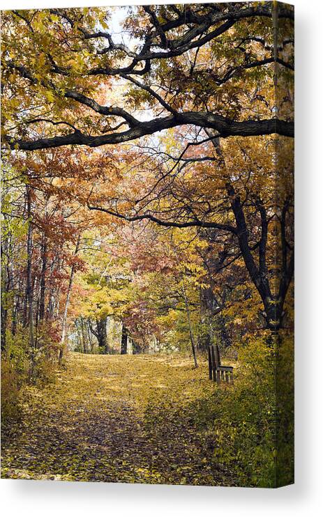 Autumn Canvas Print featuring the photograph Autumn Pedestrian Path by Lynn Hansen