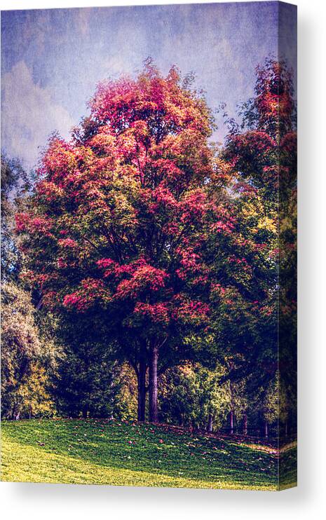 Autumn Canvas Print featuring the photograph Autumn Rainbow by Melanie Lankford Photography