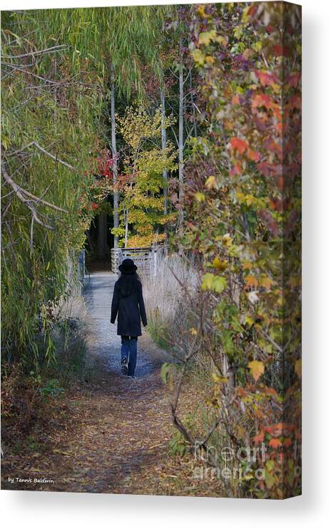 Landscape Canvas Print featuring the photograph Autumn Walk by Tannis Baldwin