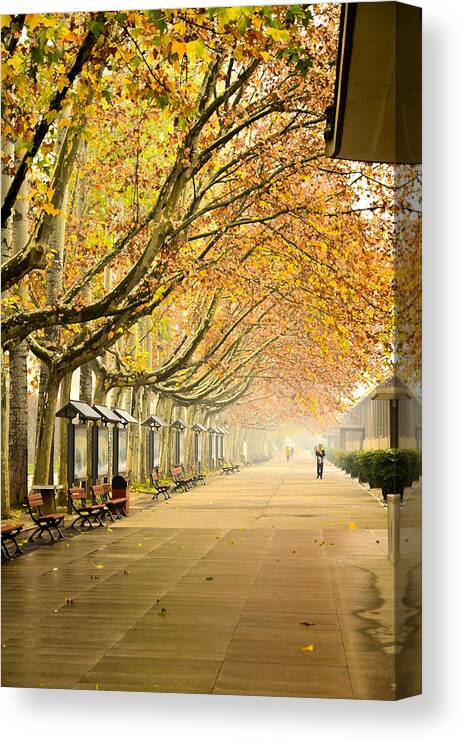 Xian Canvas Print featuring the photograph Autumn Walk Xian China by Sally Ross