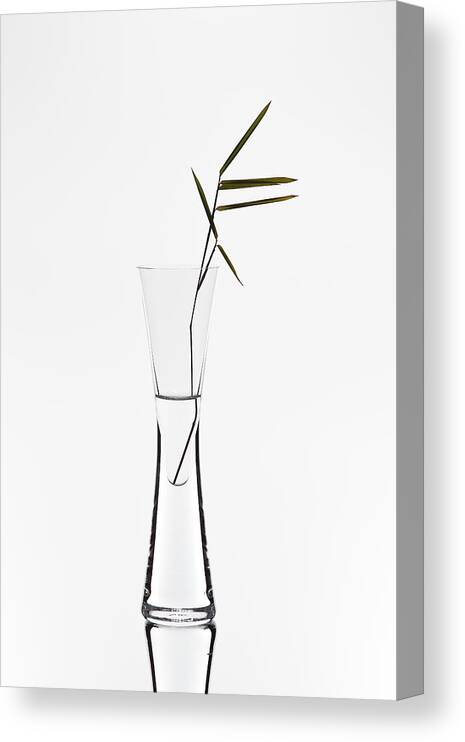 Vase Canvas Print featuring the photograph Bamboo by Christian Pabst