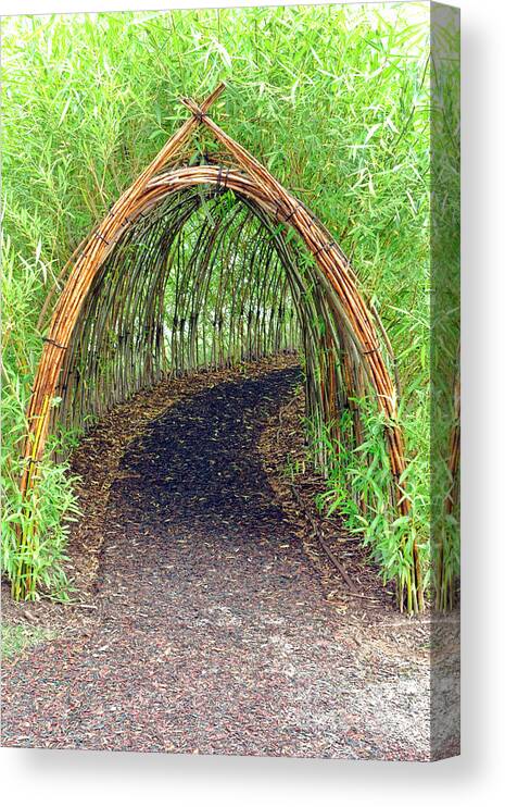 Bamboo Canvas Print featuring the photograph Bamboo Tunnel by Olivier Le Queinec