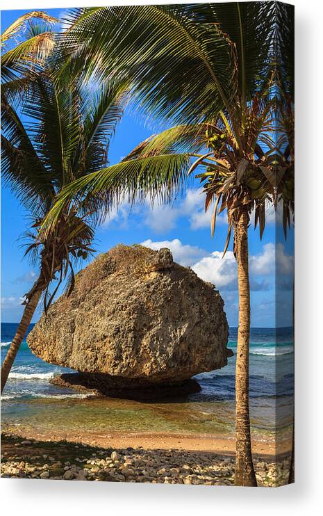Barbados Canvas Print featuring the photograph Barbados Beach by Raul Rodriguez
