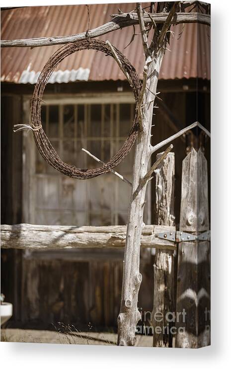 Barbed Wire Canvas Print featuring the photograph Barbed Wire Hanging by Ranch House 3006.03 by M K Miller