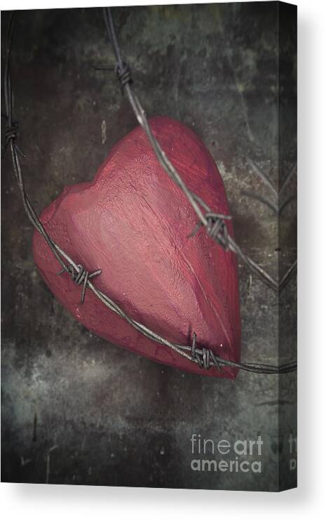 Abstract Canvas Print featuring the photograph Barbed wire by Maria Heyens