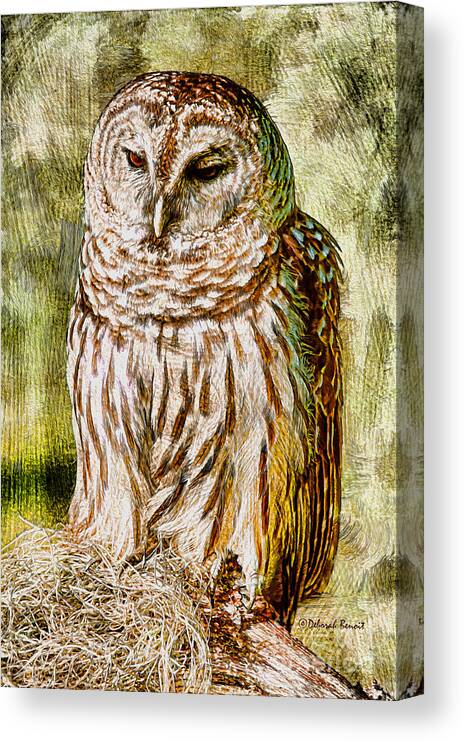 Owl Canvas Print featuring the photograph Barred Owl on Moss by Deborah Benoit
