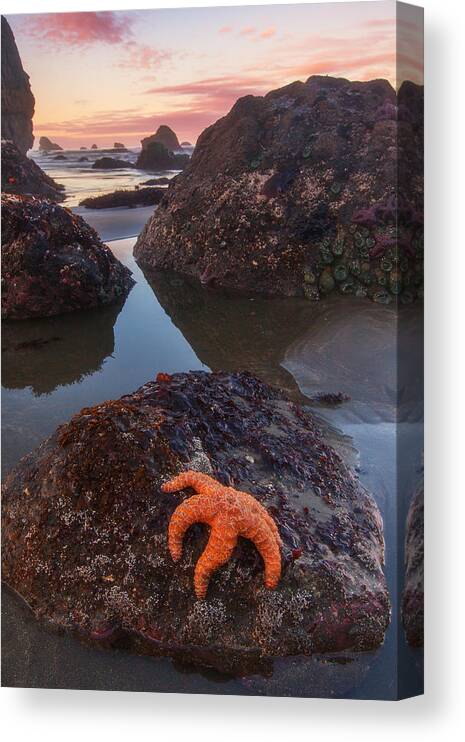 Southern Oregon Coast Canvas Print featuring the photograph Battle Rock Sunrise by Darren White