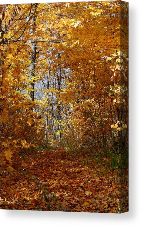 Autumn Canvas Print featuring the photograph Beautiful Autumn Sanctuary by Kay Novy
