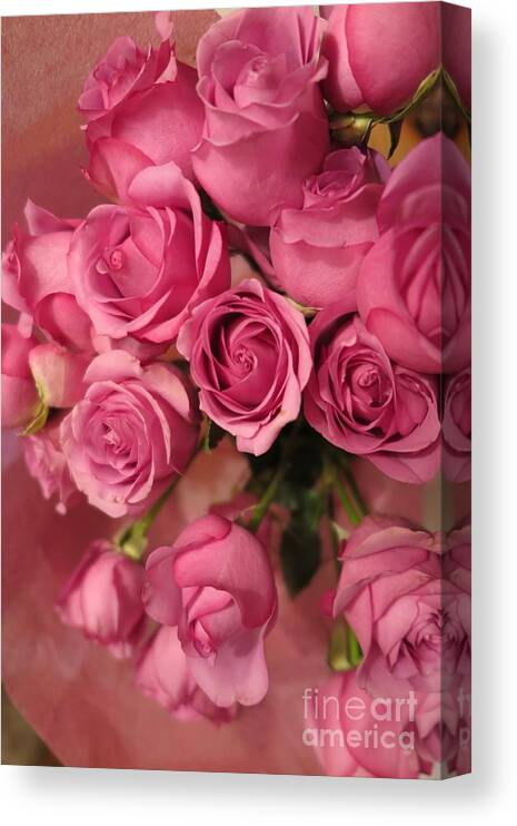 Floral Canvas Print featuring the photograph Beautiful Pink Roses 5 by Tara Shalton