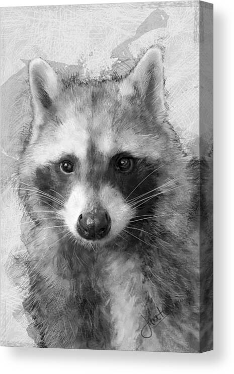 Raccoon Drawing Canvas Print featuring the mixed media Beautiful Raccoon by Janet Garcia